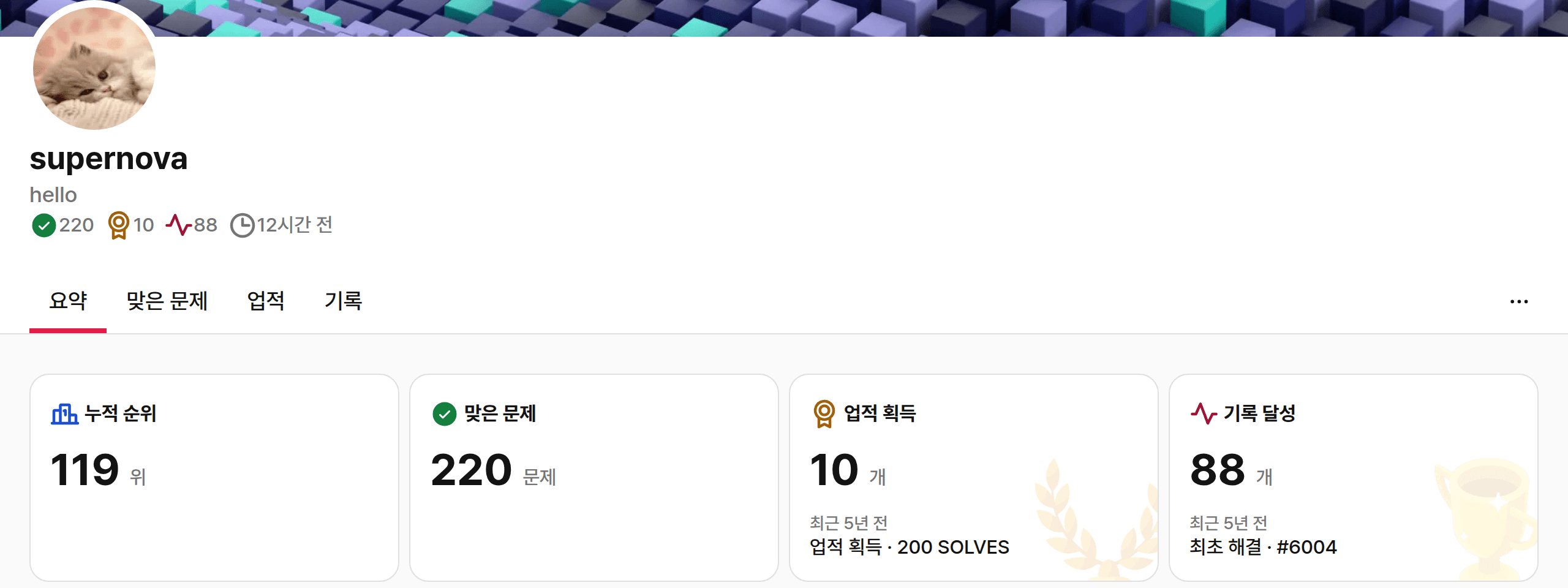 프로필 요약 화면